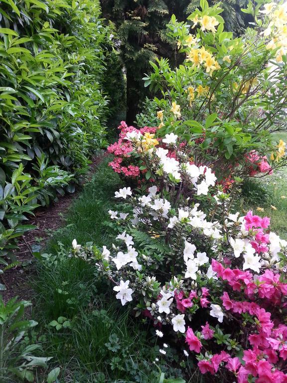 B&B Gloria Gallarate Bagian luar foto