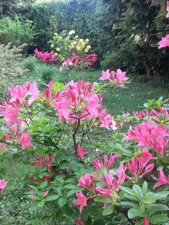 B&B Gloria Gallarate Bagian luar foto