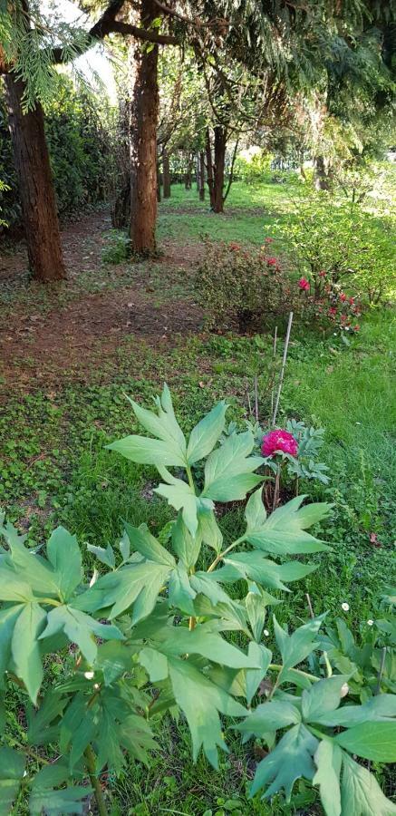 B&B Gloria Gallarate Bagian luar foto