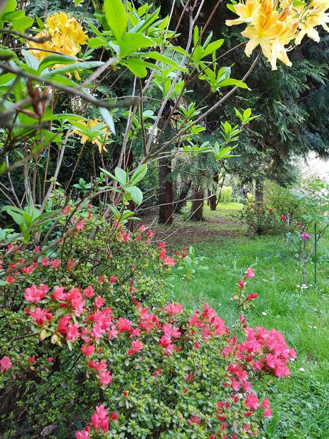 B&B Gloria Gallarate Bagian luar foto